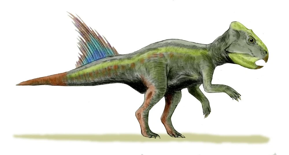 Ilustración paleontológica de Archaeoceratops