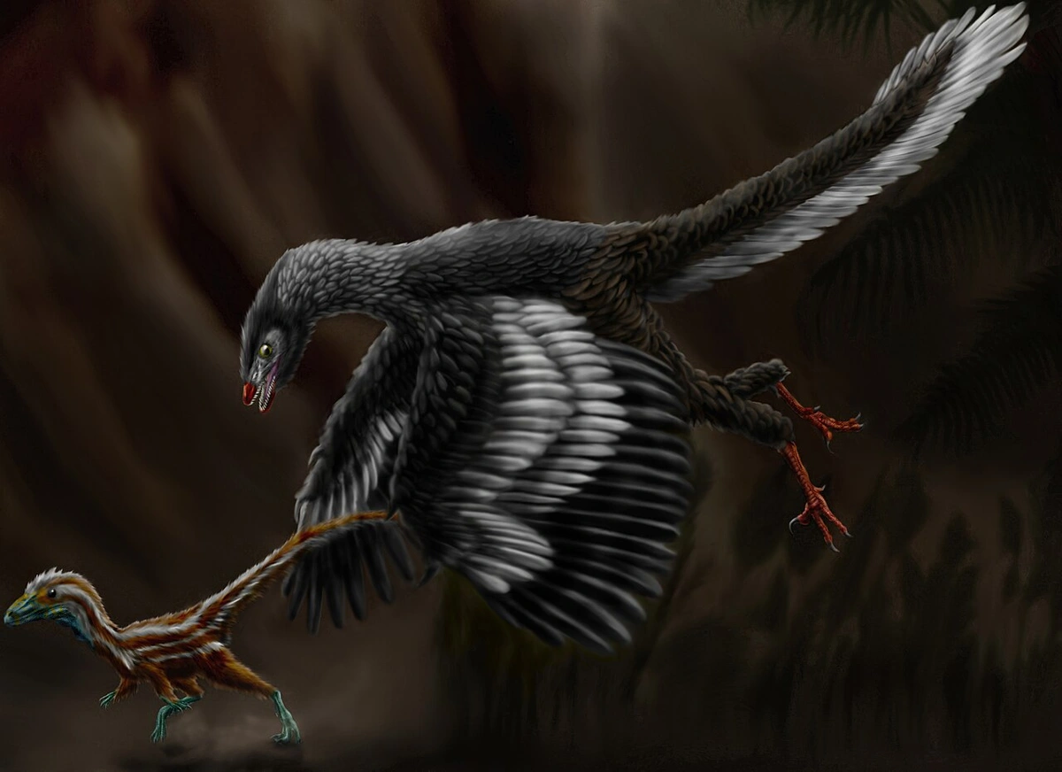 Ilustración paleontológica de Archaeopteryx