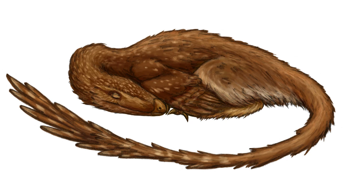 Ilustración paleontológica de Archaeornithoides