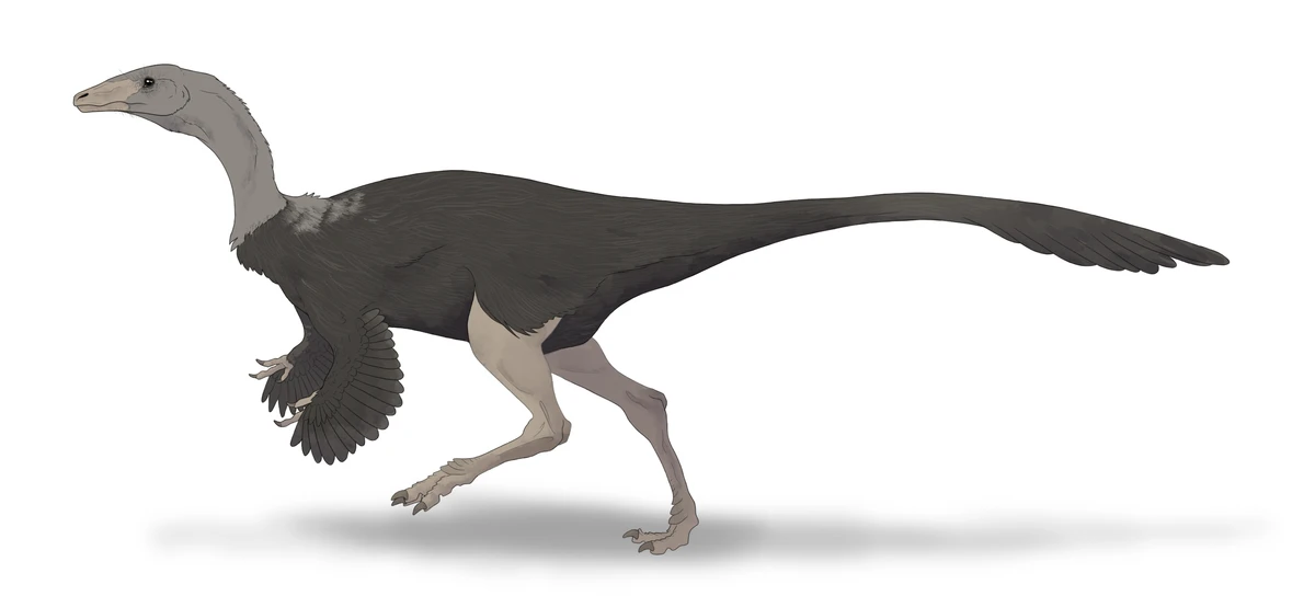 Ilustración paleontológica de Archaeornithomimus