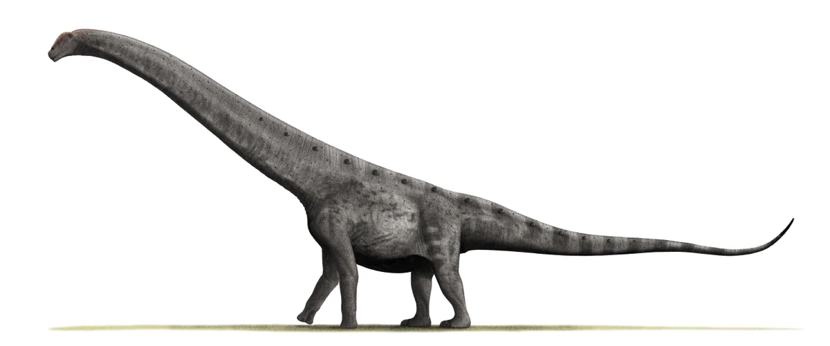 Ilustración paleontológica de Argentinosaurus