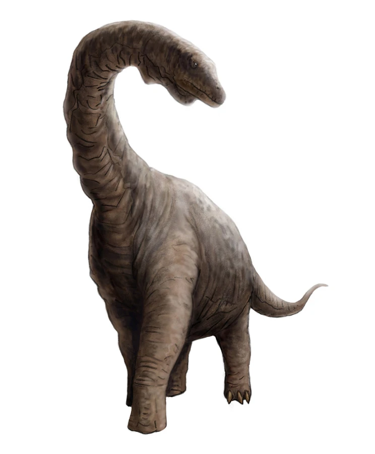 Ilustración paleontológica de Argyrosaurus