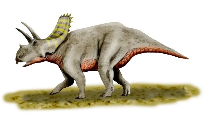 Ilustración paleontológica de Arrhinoceratops
