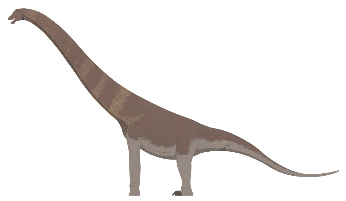 Ilustración paleontológica de Arrudatitan