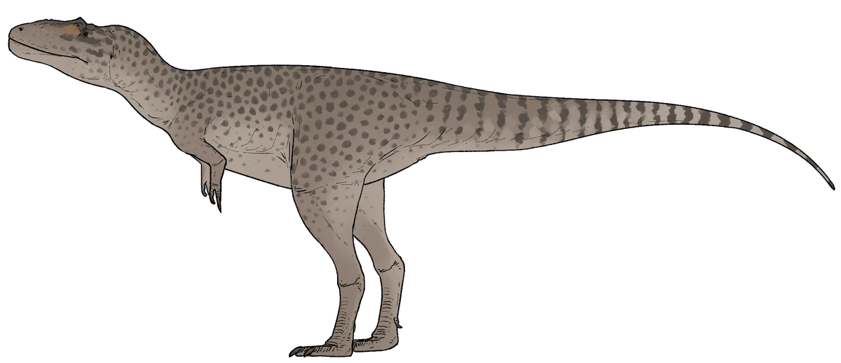 Ilustración paleontológica de Asiatyrannus