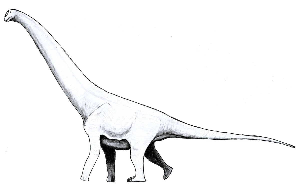 Ilustración paleontológica de Atacamatitan