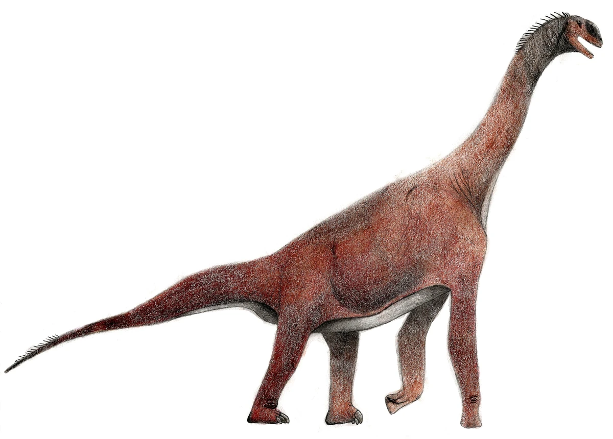 Ilustración paleontológica de Atlasaurus