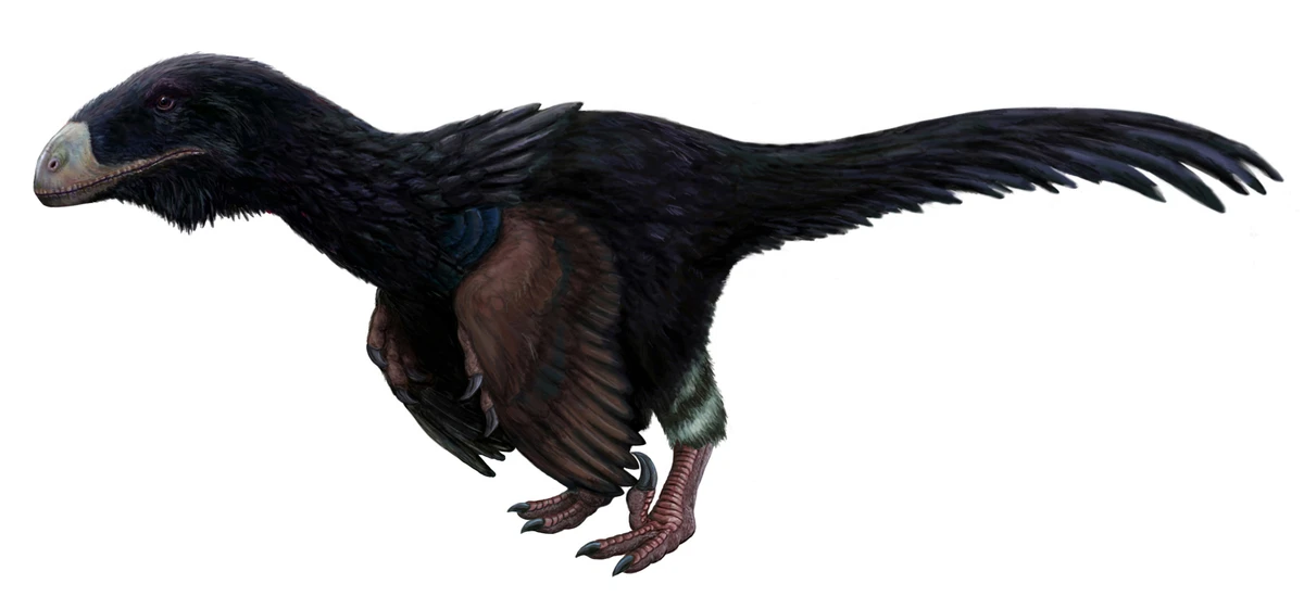 Ilustración paleontológica de Atrociraptor