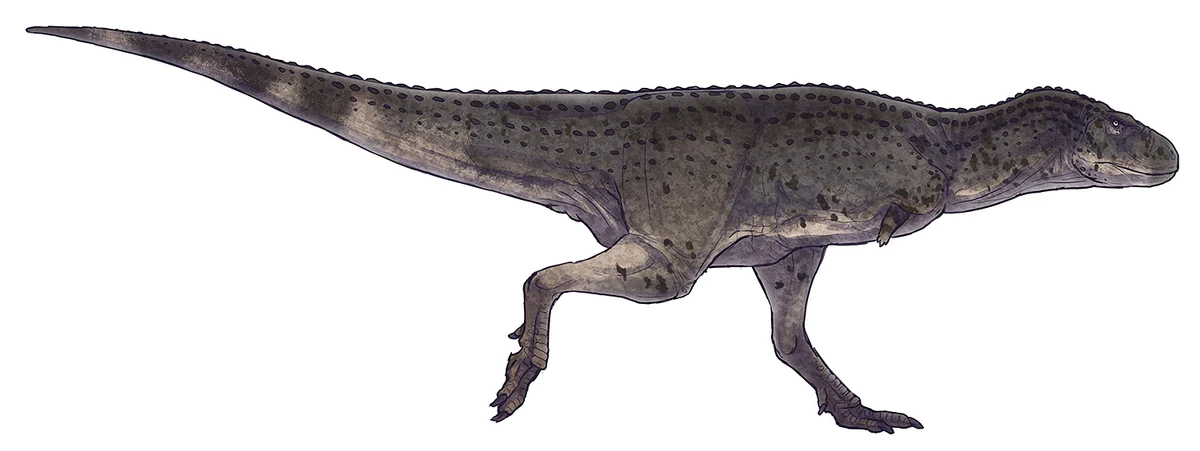 Ilustración paleontológica de Aucasaurus