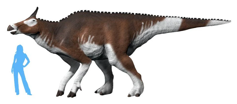 Ilustración paleontológica de Augustynolophus