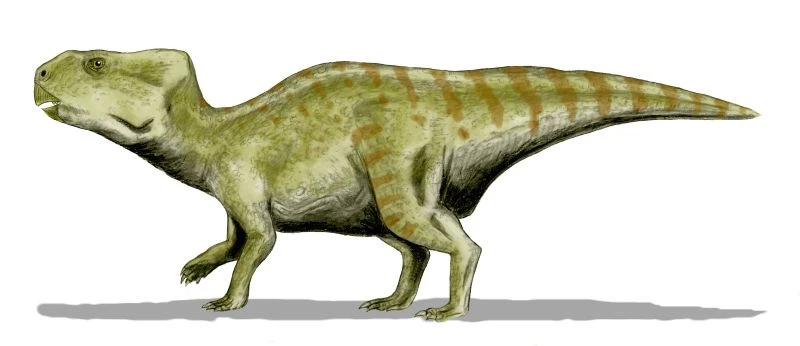 Ilustración paleontológica de Auroraceratops