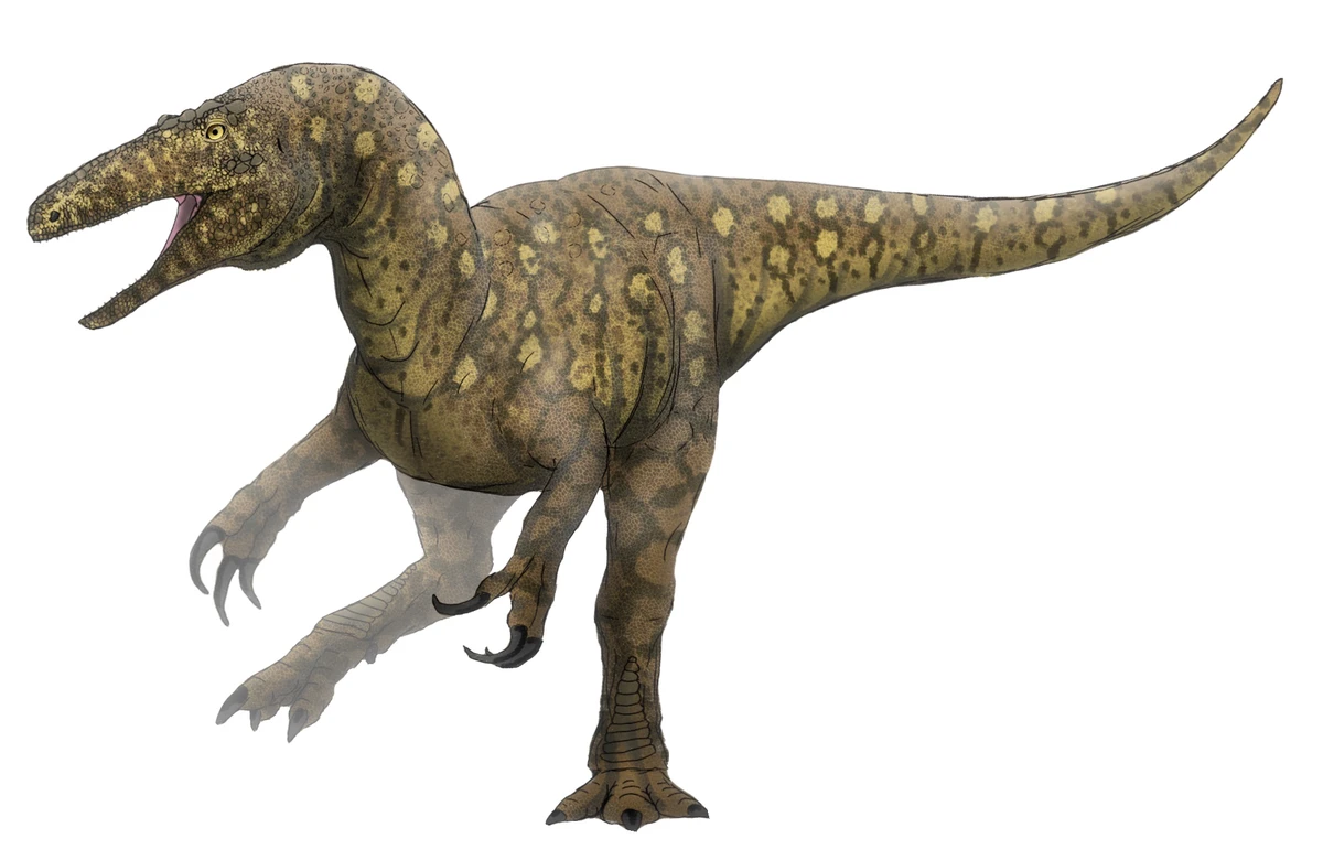 Ilustración paleontológica de Australovenator