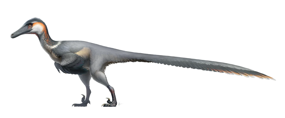 Ilustración paleontológica de Austroraptor
