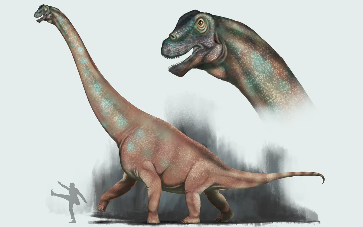 Ilustración paleontológica de Austrosaurus