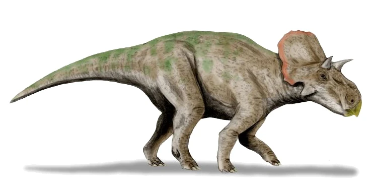 Ilustración paleontológica de Avaceratops