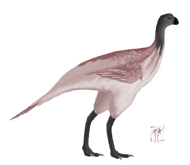 Ilustración paleontológica de Avimimus