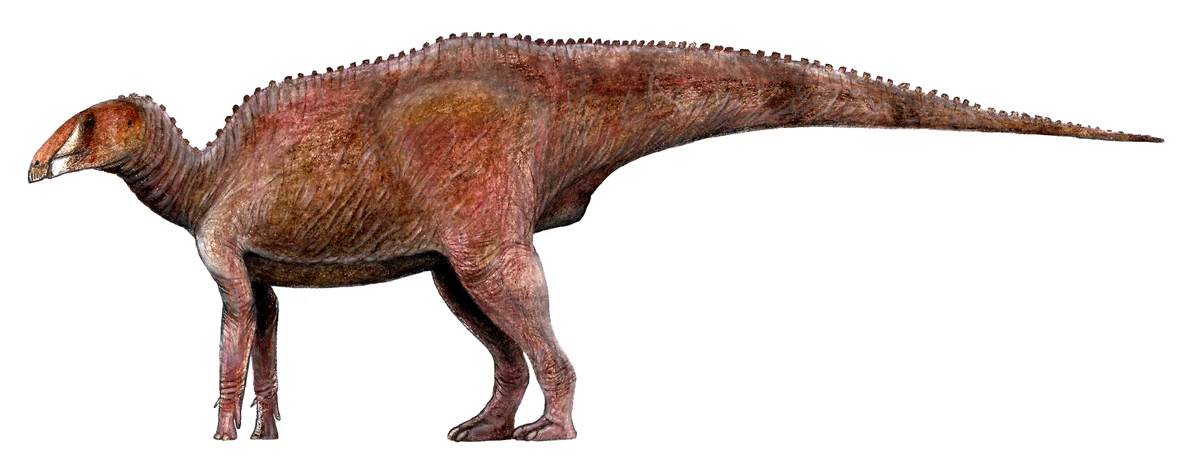 Ilustración paleontológica de Bactrosaurus