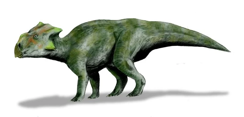Ilustración paleontológica de Bagaceratops