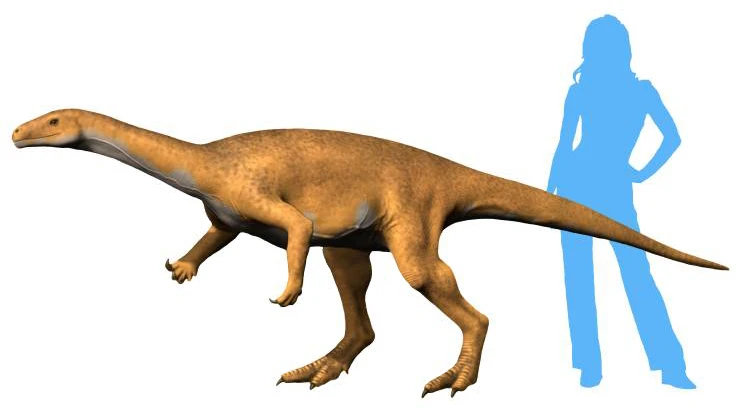 Ilustración paleontológica de Bagualosaurus