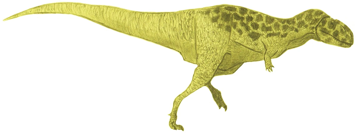 Ilustración paleontológica de Bahariasaurus
