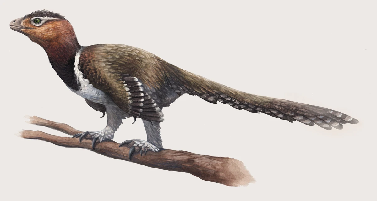 Ilustración paleontológica de Balaur