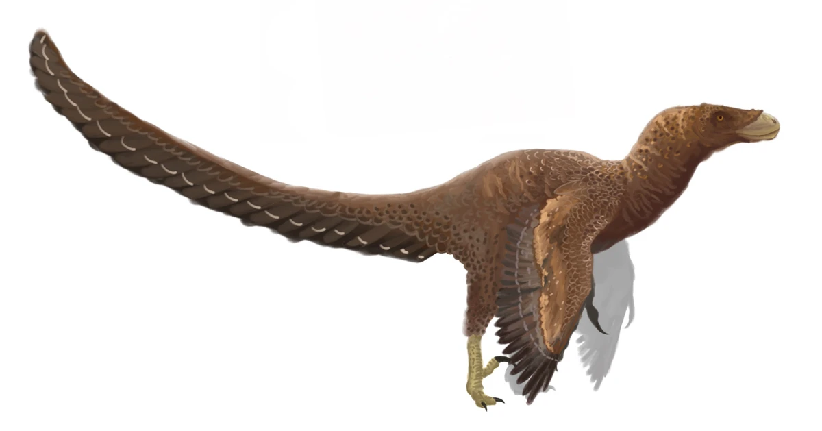 Ilustración paleontológica de Bambiraptor
