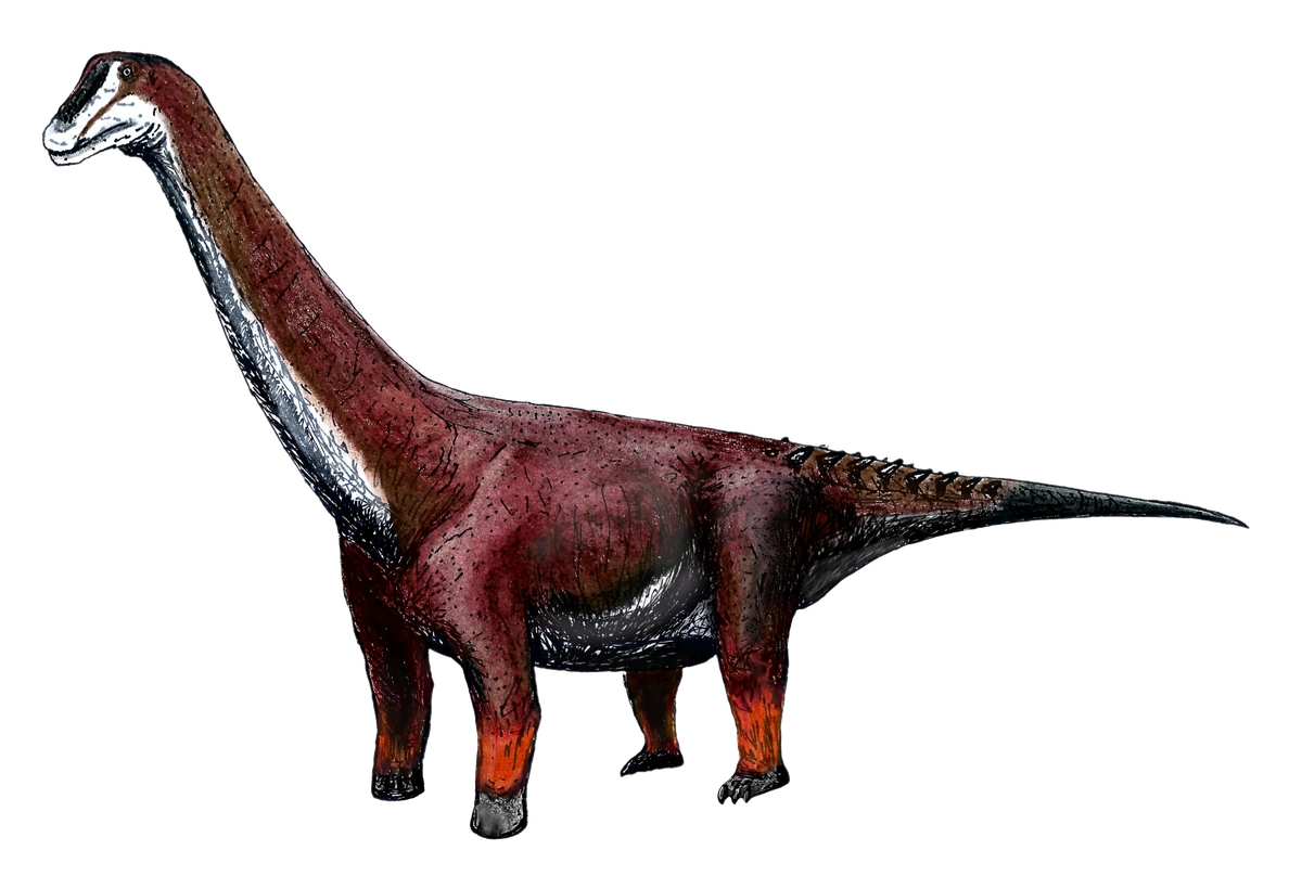 Ilustración paleontológica de Baotianmansaurus