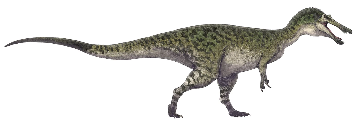 Ilustración paleontológica de Baryonyx