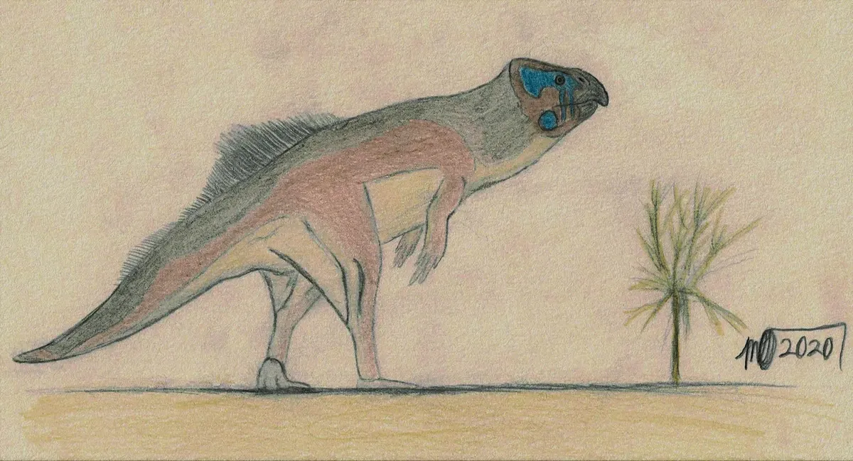 Ilustración paleontológica de Beg