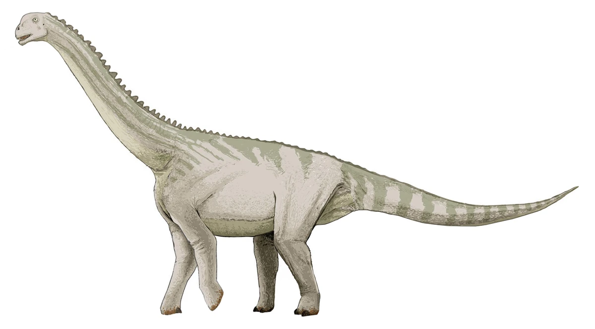 Ilustración paleontológica de Bellusaurus