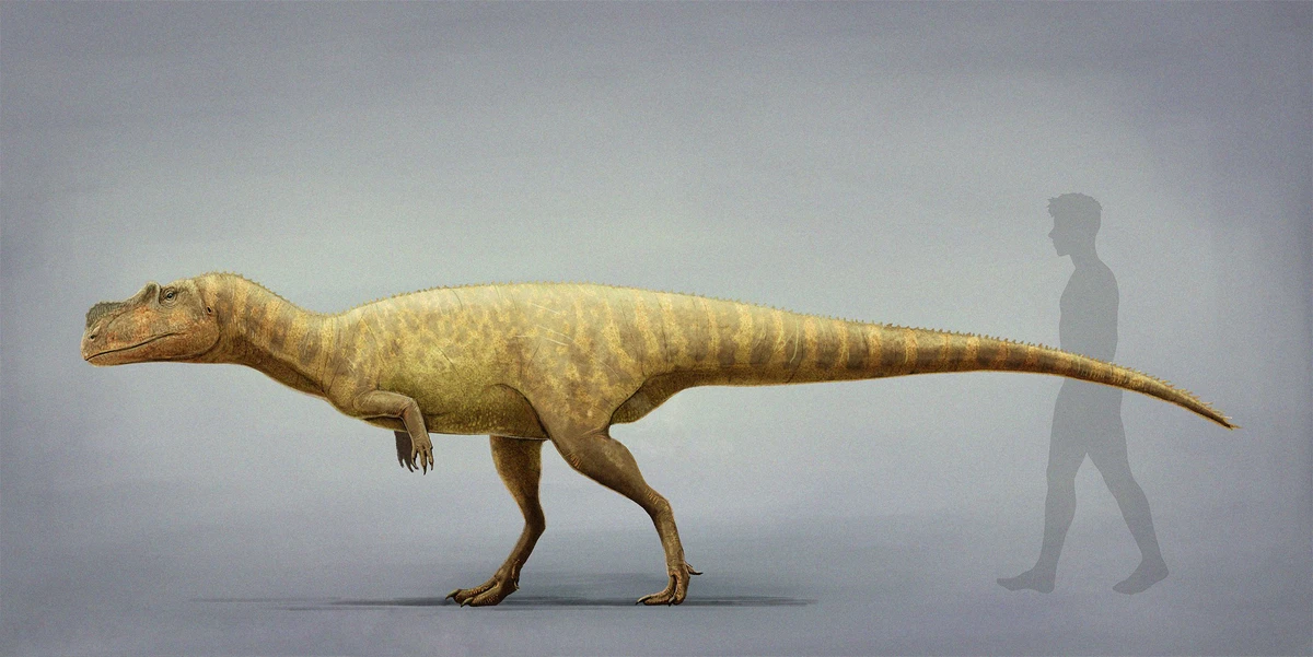 Ilustración paleontológica de Berberosaurus
