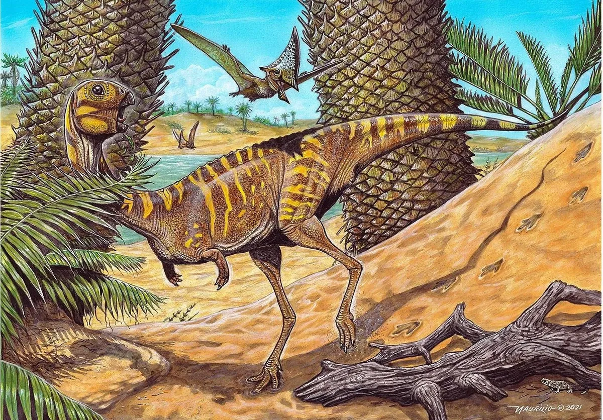Ilustración paleontológica de Berthasaura
