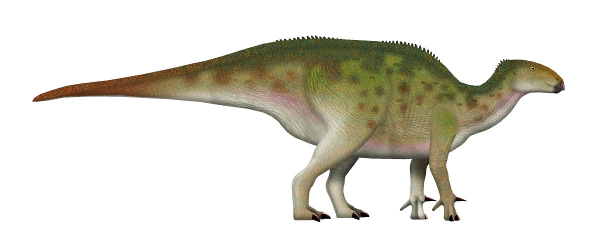 Ilustración paleontológica de Bolong