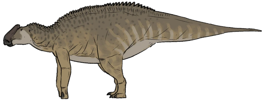Ilustración paleontológica de Bonapartesaurus