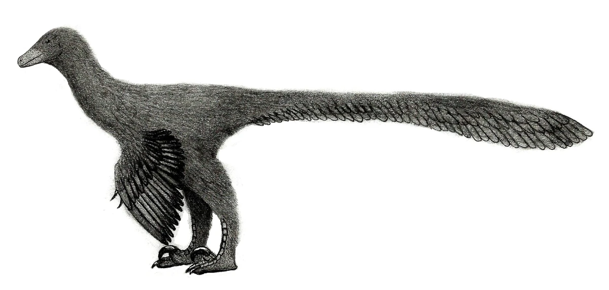 Ilustración paleontológica de Boreonykus