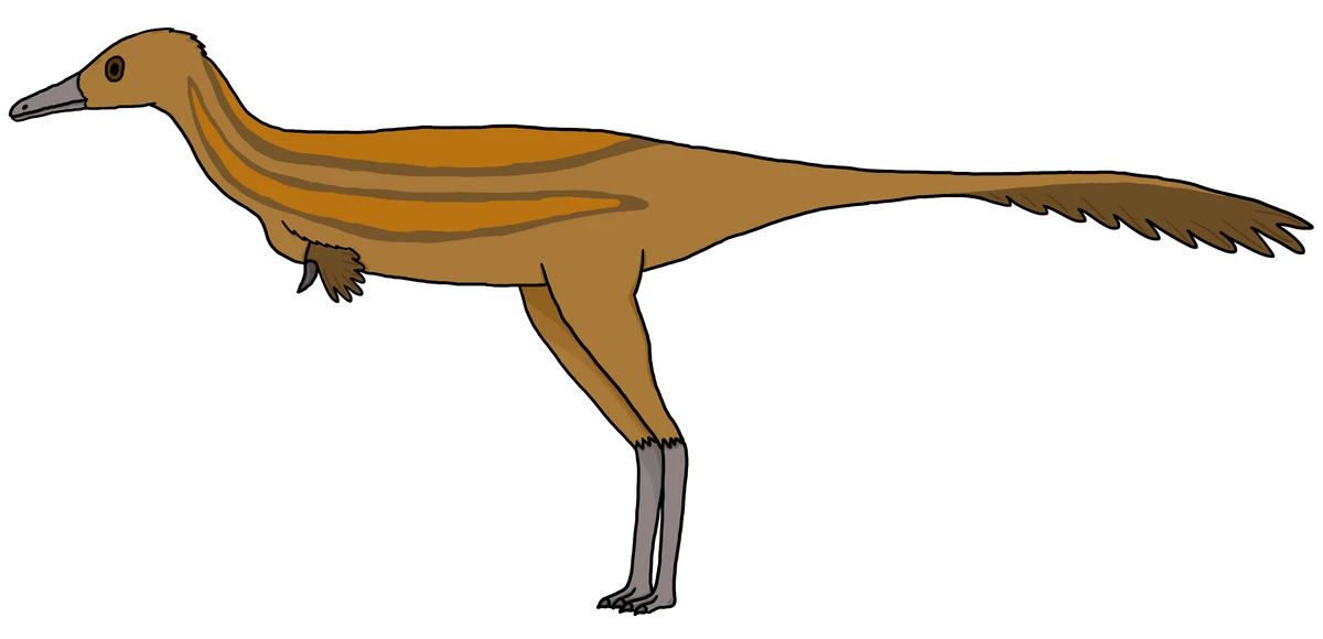 Ilustración paleontológica de Bradycneme