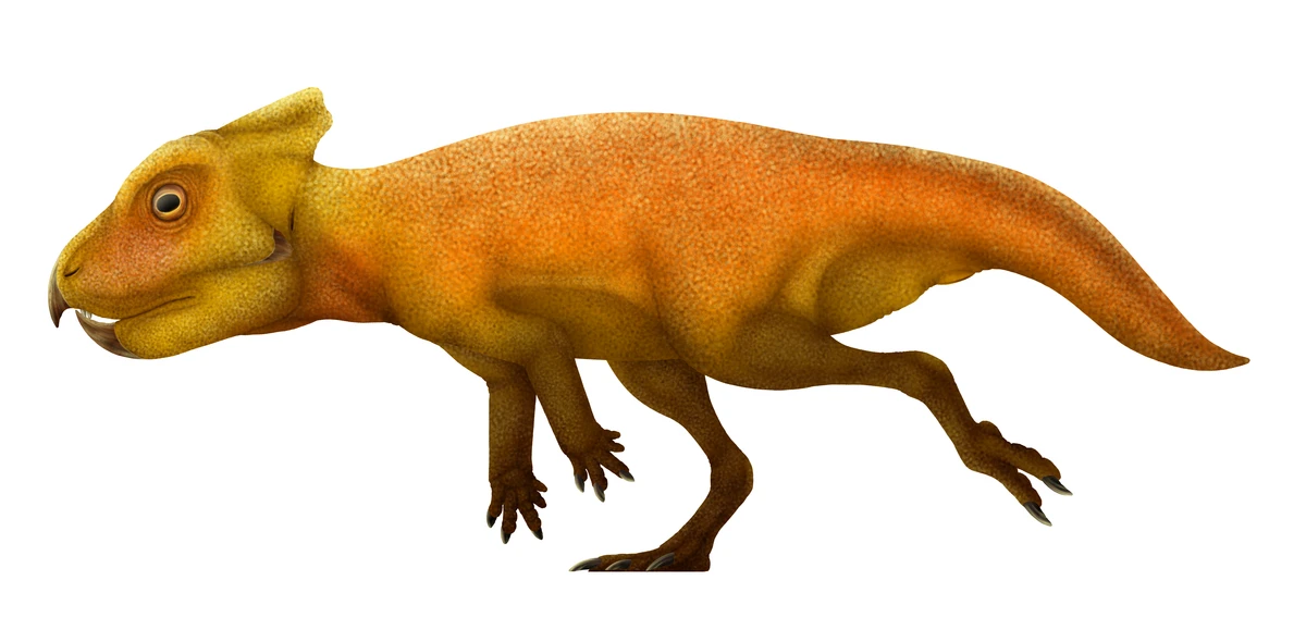 Ilustración paleontológica de Breviceratops