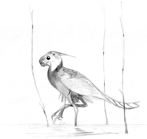 Ilustración paleontológica de Caenagnathasia