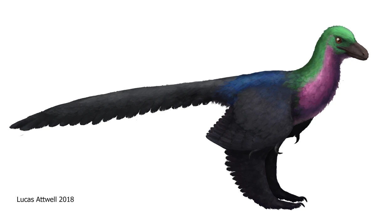 Ilustración paleontológica de Caihong