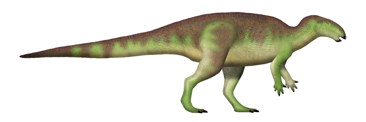 Ilustración paleontológica de Calvarius
