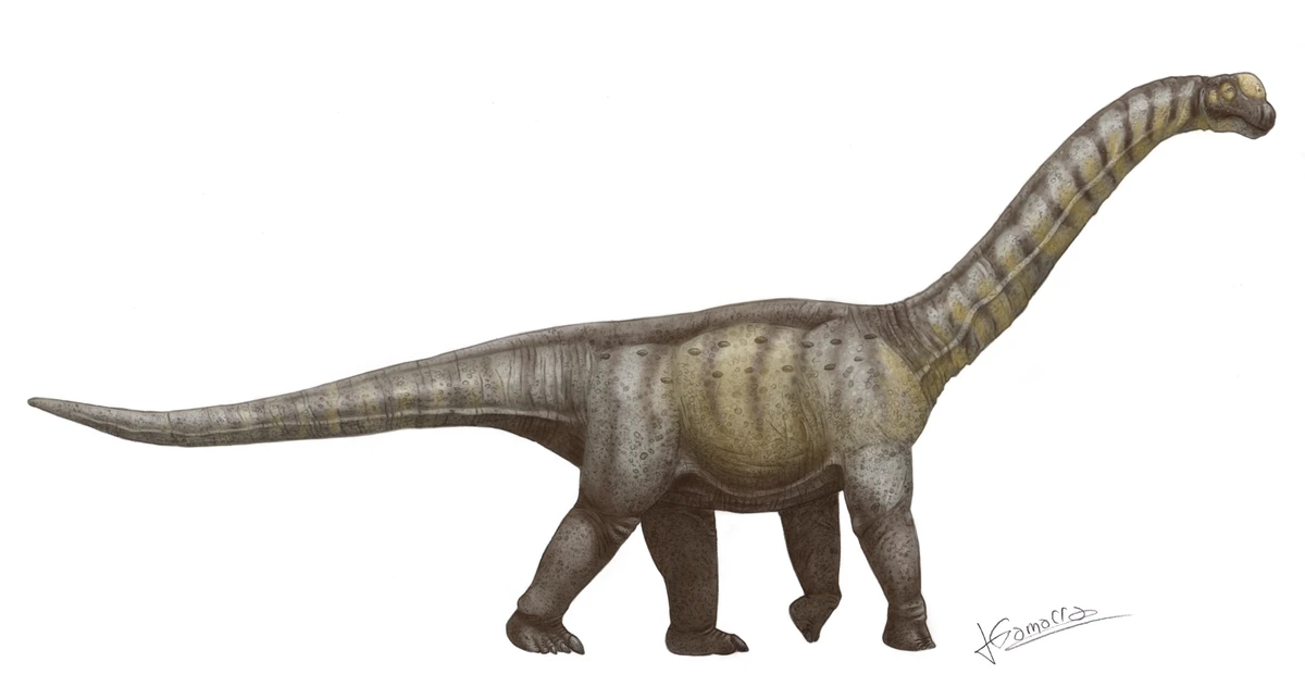 Ilustración paleontológica de Camarasaurus
