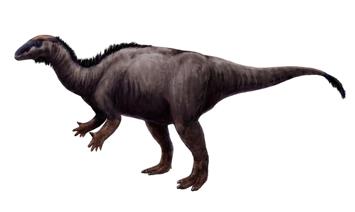Ilustración paleontológica de Camptosaurus