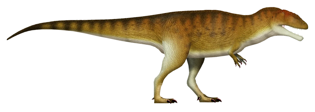 Ilustración paleontológica de Carcharodontosaurus