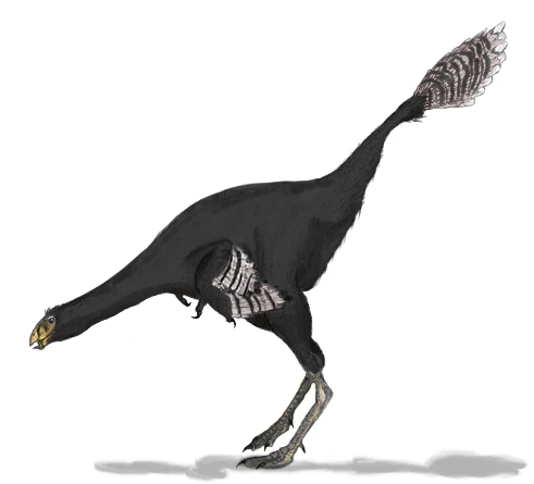 Ilustración paleontológica de Caudipteryx