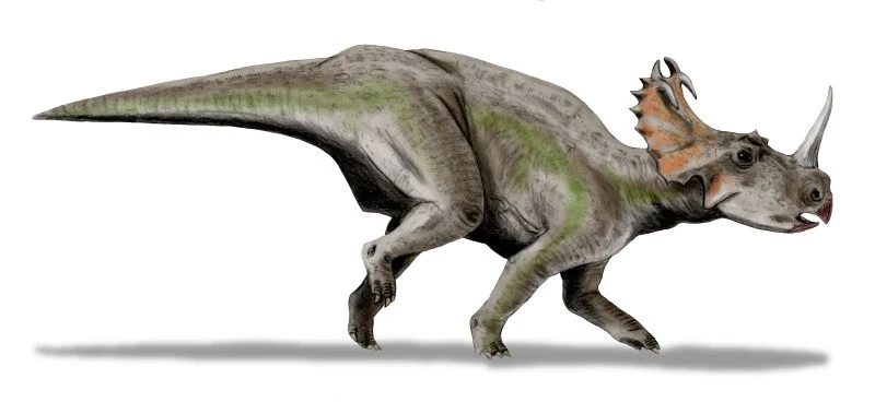Ilustración paleontológica de Centrosaurus