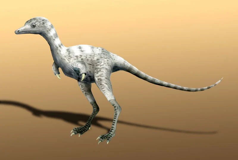 Ilustración paleontológica de Ceratonykus