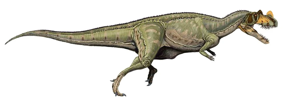 Ilustración paleontológica de Ceratosaurus