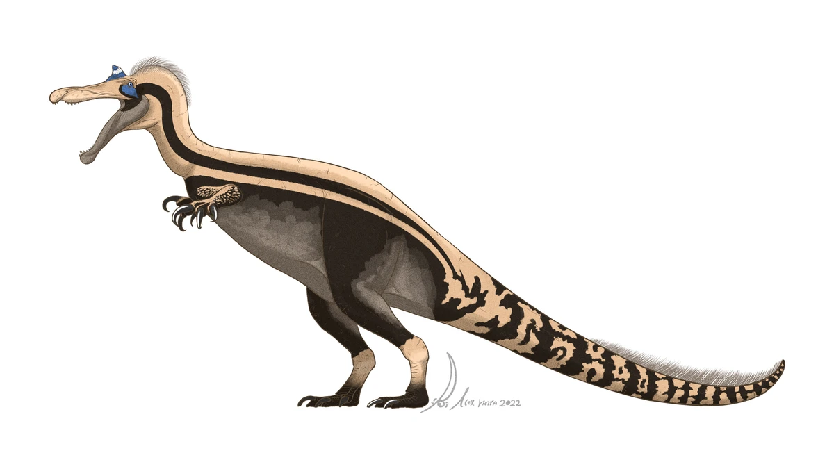 Ilustración paleontológica de Ceratosuchops