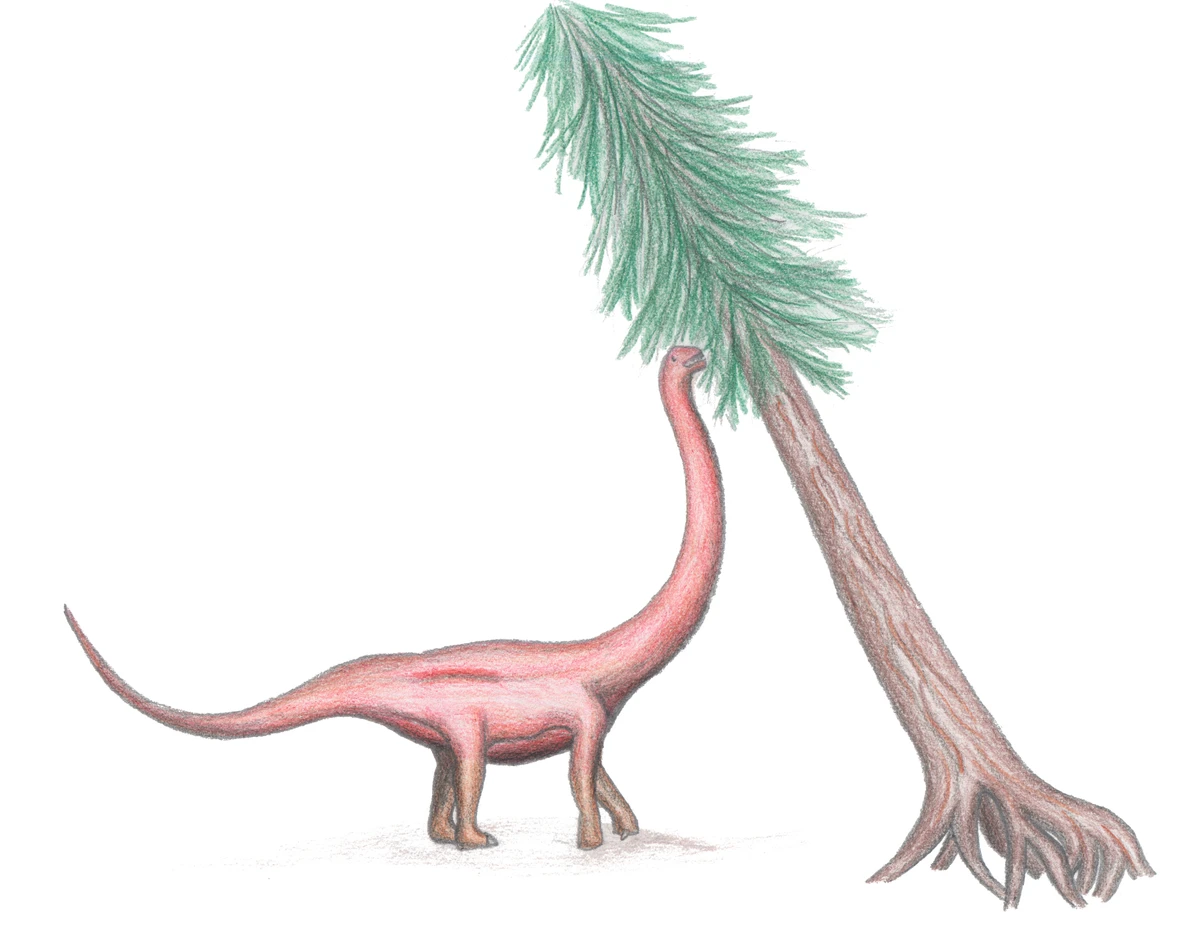 Ilustración paleontológica de Cetiosauriscus