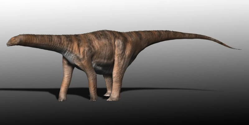 Ilustración paleontológica de Cetiosaurus